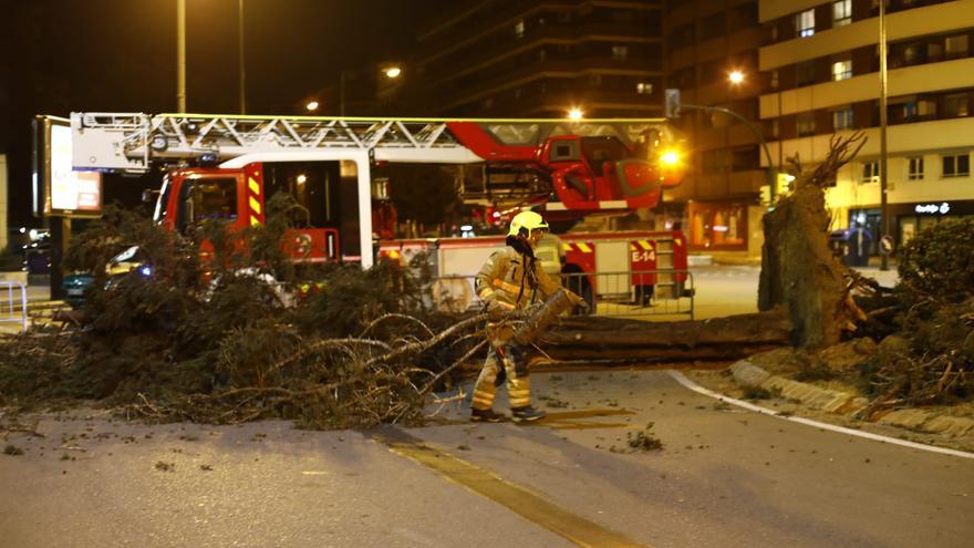 Lo peor del viento ha pasado: el ayuntamiento reabre los parques de Zaragoza