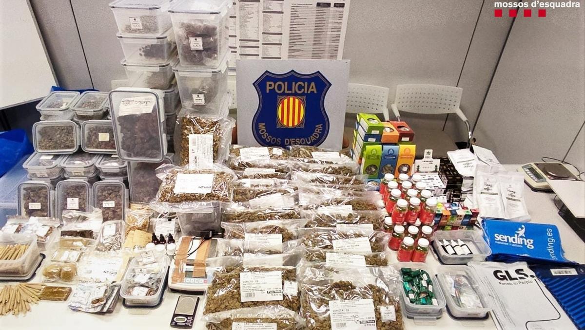Dos detinguts a Badalona per tenir un laboratori de cànnabis a casa seva Dos detinguts a Badalona per tenir un laboratori de cànnabis a casa seva