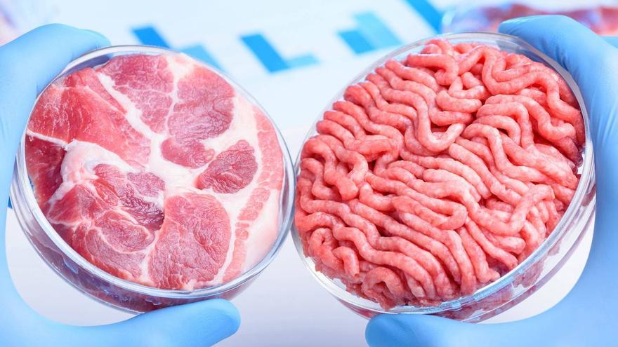 Neix la primera empresa espanyola de carn cultivada en laboratori