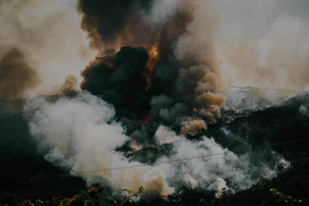 El incendio de Boborás, el primer foco importante en Ourense antes del verano