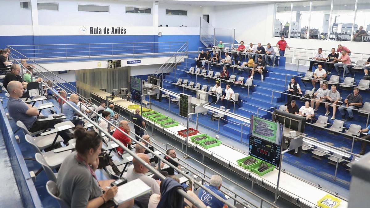 Un momento en la rula de Avilés