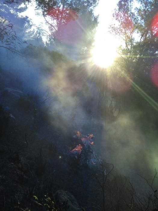 Un incendio forestal quema diez hectáreas en el Puig de Maria, una de pinar