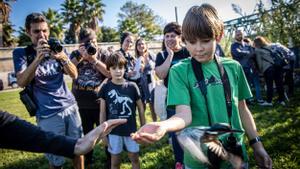 La fiesta de Va de Besòs, en el Parc del Litoral del Besòs