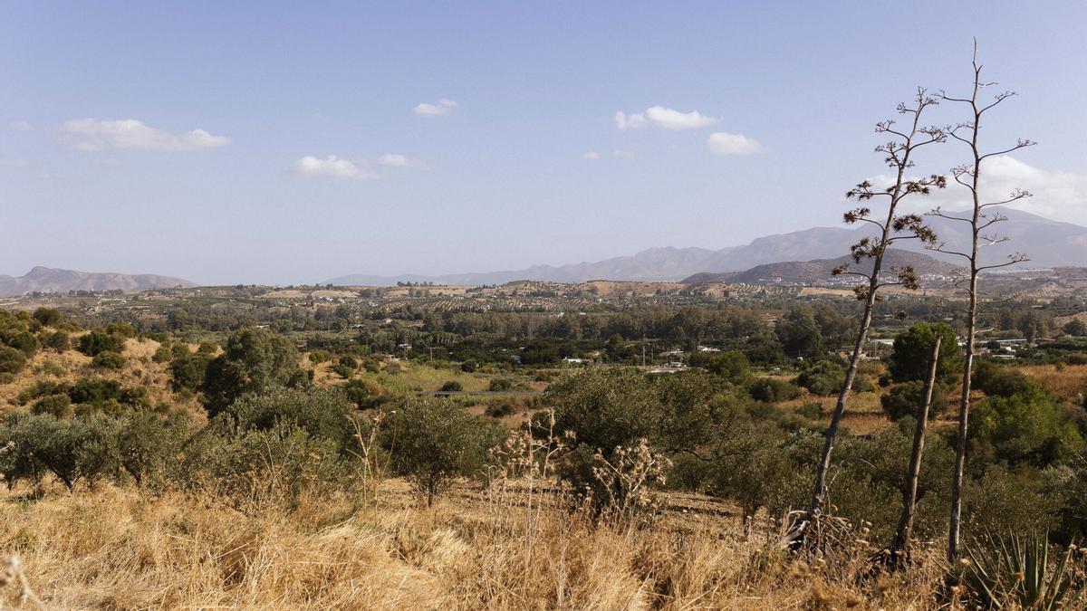 Los cadáveres fueron hallados en una precaria vivienda de Coín.