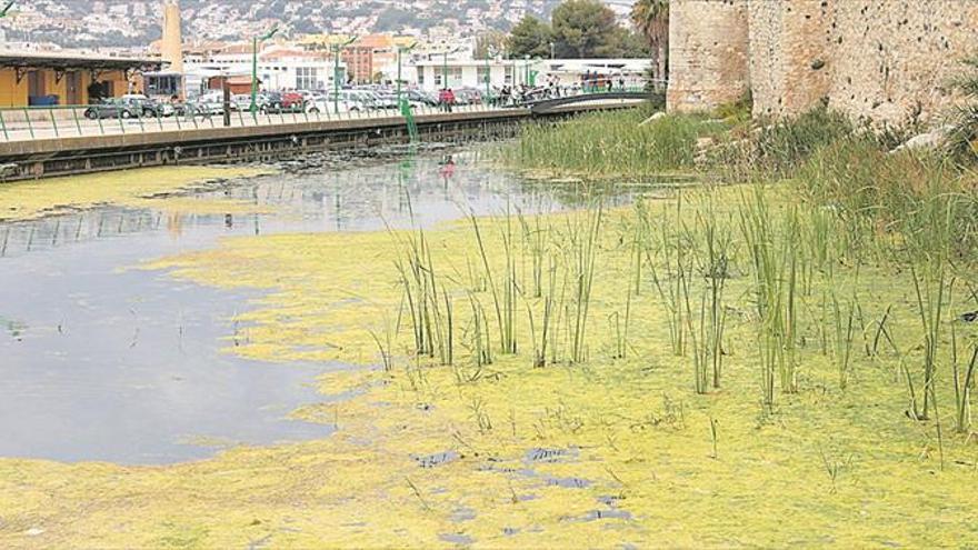 La balsa del puerto, de nuevo sucia para recibir a los turistas