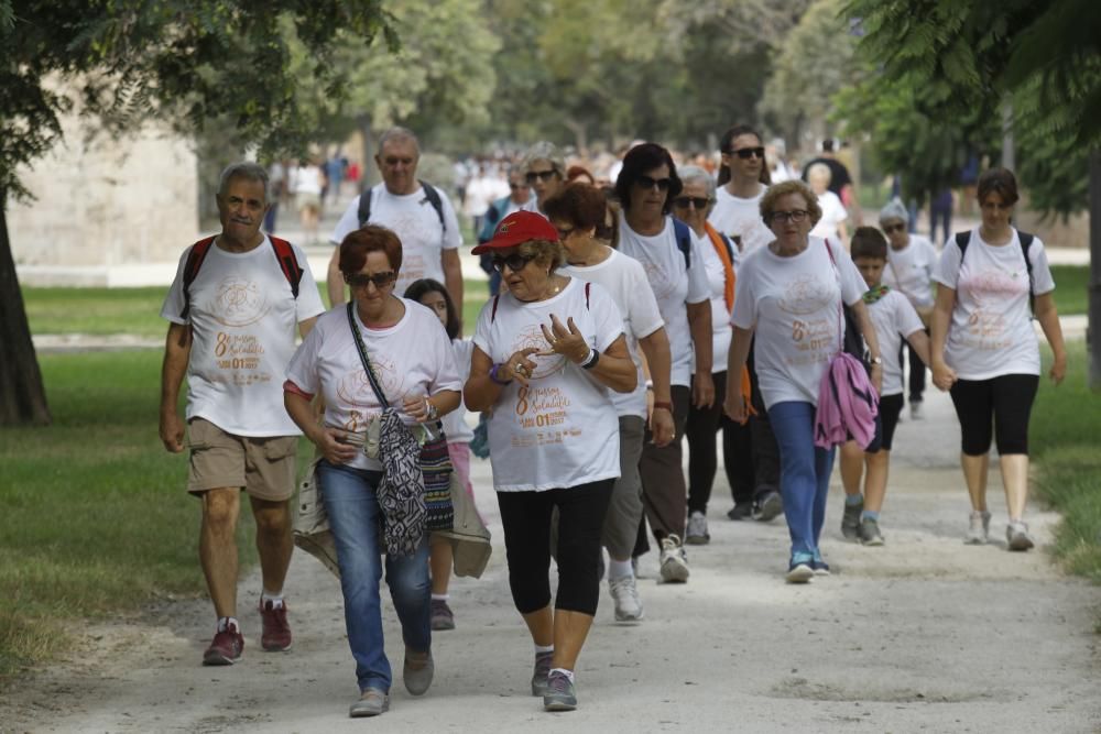 Paseo saludable por el Día Internacional de las Personas Mayores