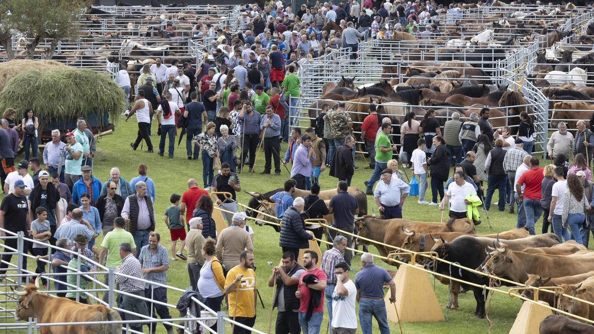 La feria de San Isidro en Llanera