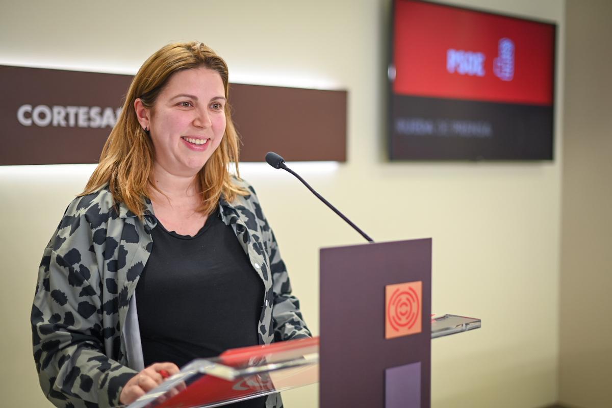 La diputada del PSOE, María Ariño, en la rueda de prensa del PSOE.
