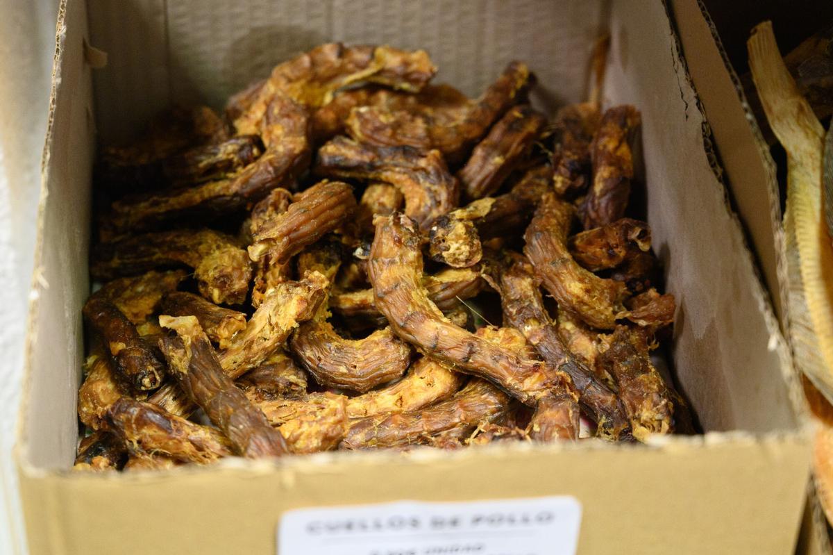 En imágenes | Así es la primera pastelería para mascotas en Aragón