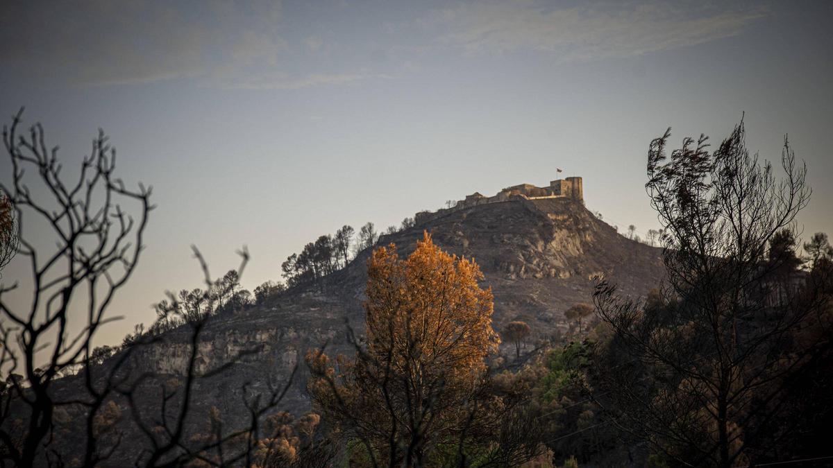La zona cremada al voltant del castell de Claramunt