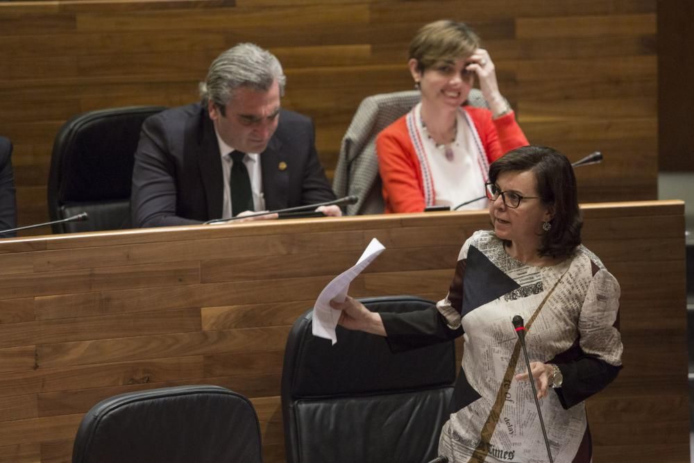 Pleno en la Junta General del Principado de Asturias