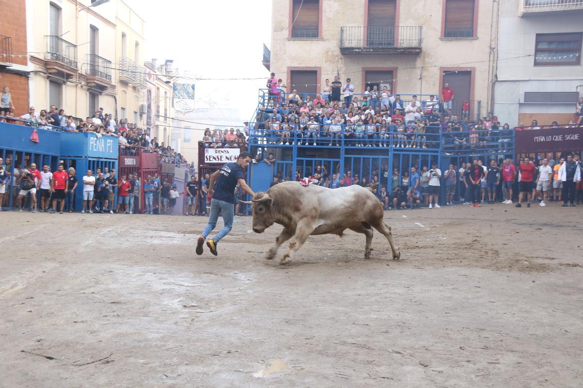La peña La Comedia se encargó de patrocinar un toro de Sergio Centelles.