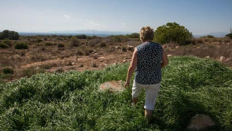 La maleza cubre y esconde las alcantarillas.