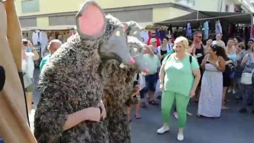 Gigantes y simpáticas ratas invaden Cala Rajada