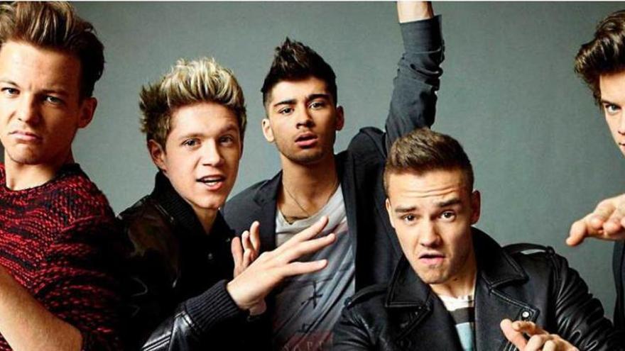 &quot;One Direction&quot; se bifurca