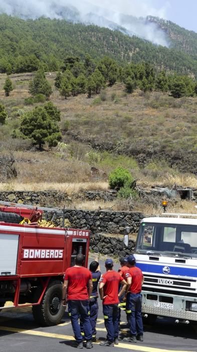 EL INCENDIO DE LA PALMA SIGUE QUEMANDO MAZO PERO ...