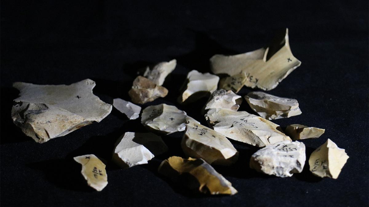 Herramientas de pedernal encontradas en Evron Quarry.