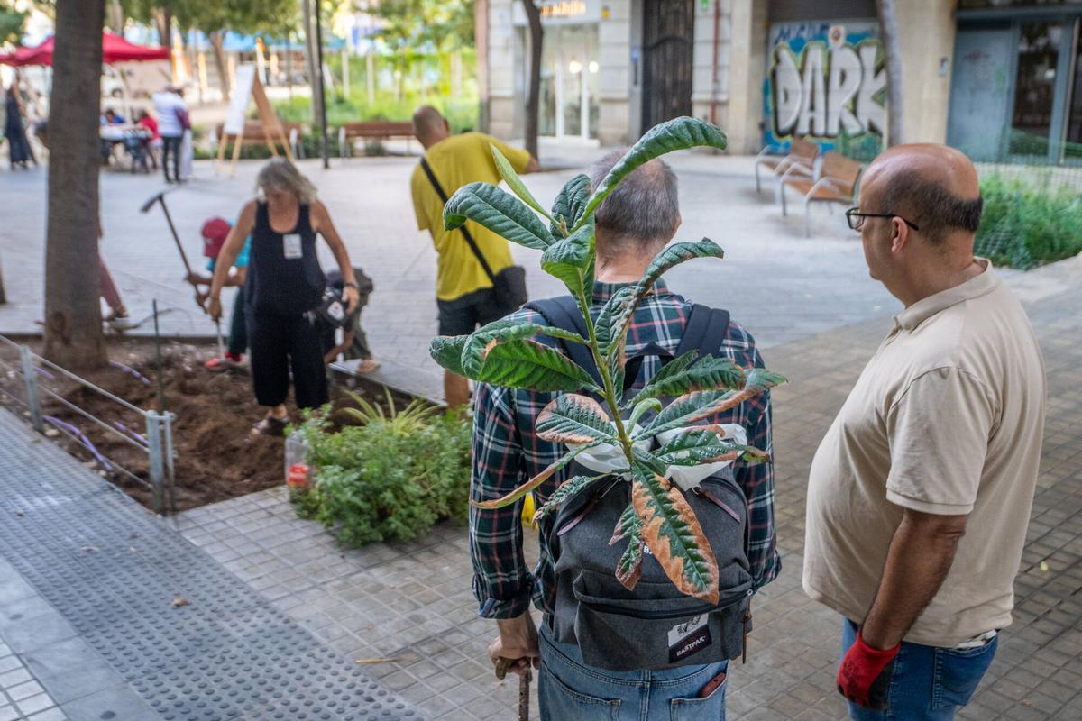 Un vecino lleva en la mochila una de las plantas destinadas a los parterres.