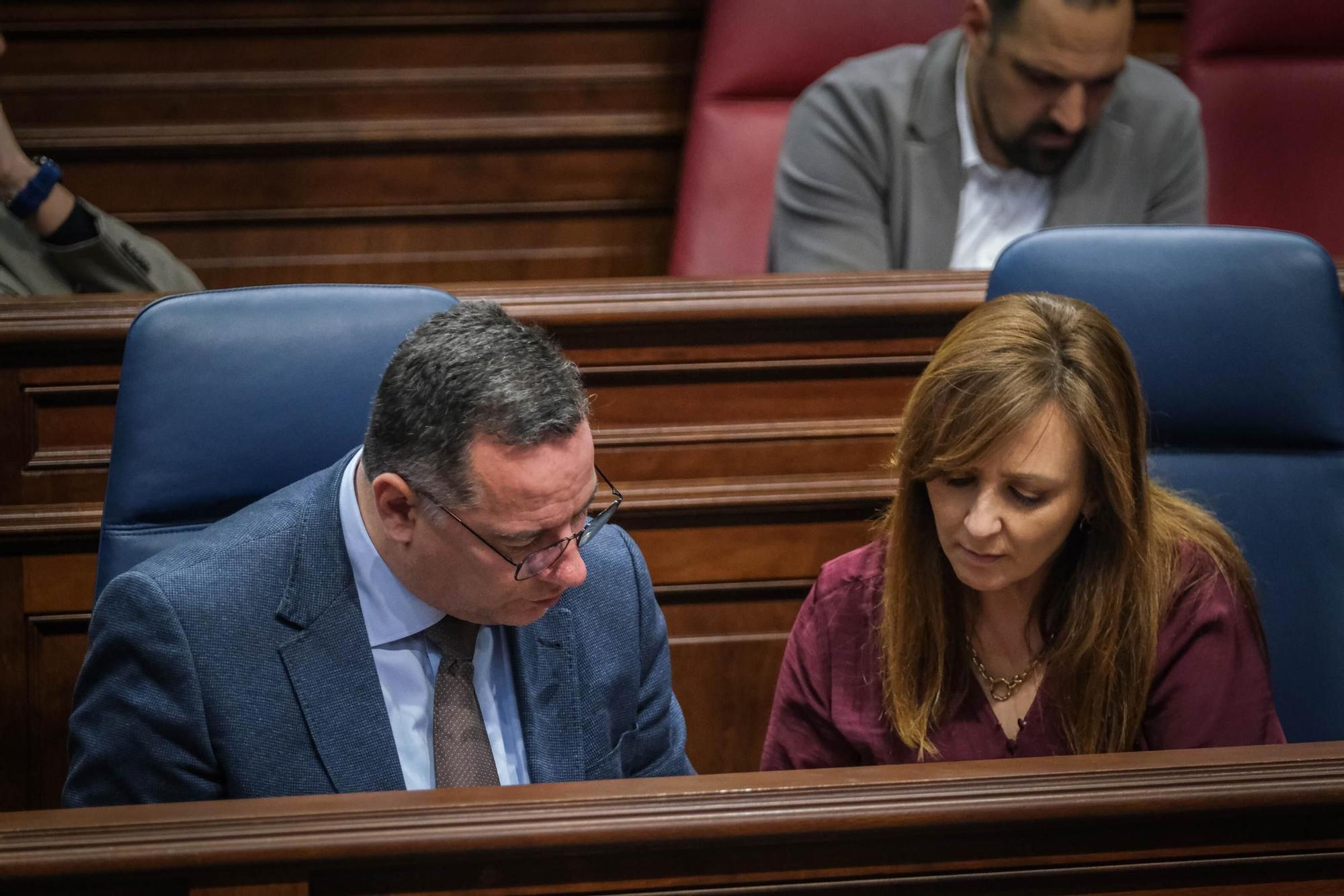 Pleno del Parlamento de Canarias