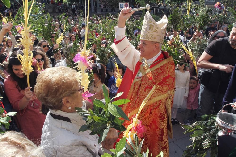 Semana Santa en Ourense 2017 | Bendición de Ramos en Ourense
