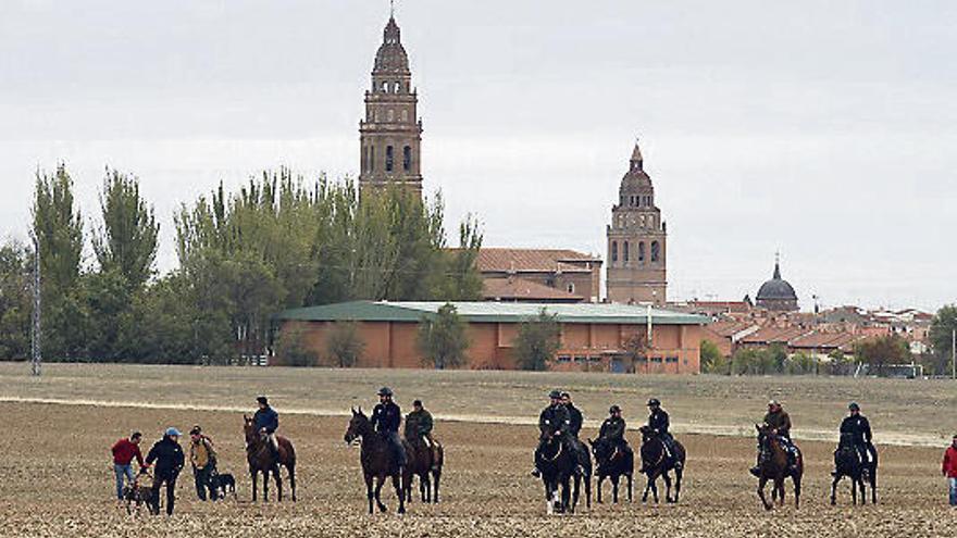 La mano avanzando en el coto de Alaejos.