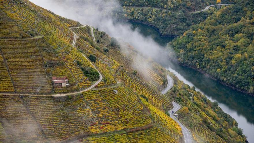 Un paraje de la Ribeira Sacra // Brais Lorenzo