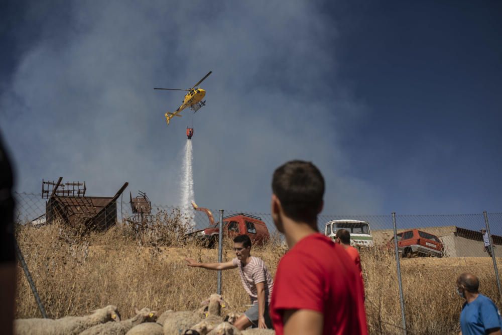 Incendio de una nave ganadera en Sanzoles