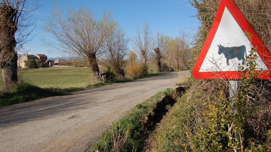 El Consell cerdà inverteix mig milió en camins locals