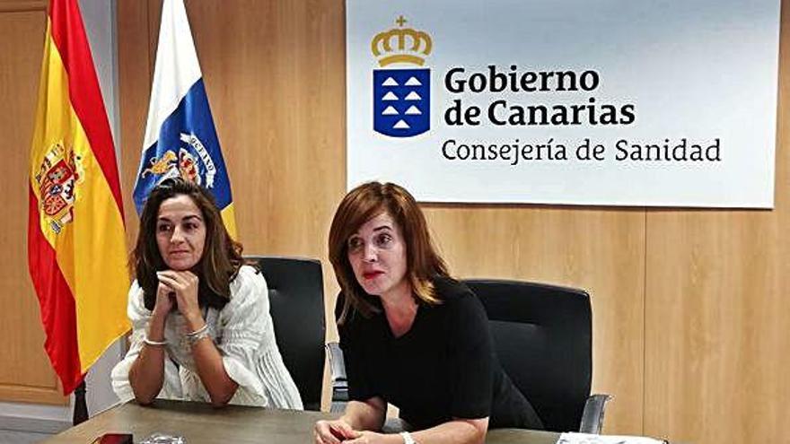 De izquierda a derecha, la directora del SCS, Blanca Méndez, y la consejera de Sanidad del Ejecutivo autonómico, Teresa Cruz, ayer, durante el encuentro.