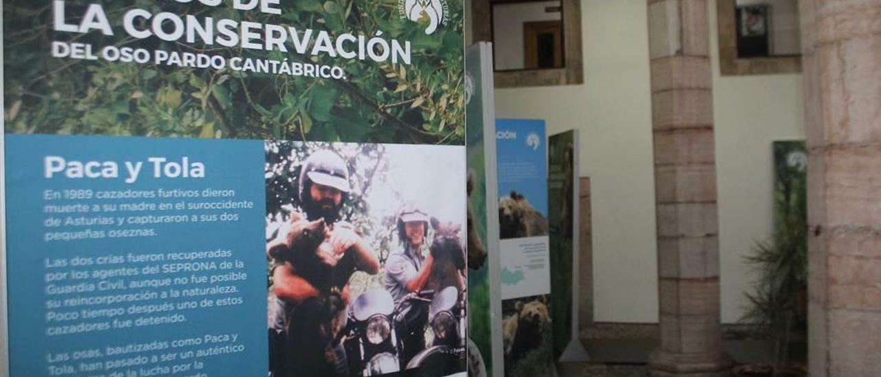 La Casa de Cultura clausura con éxito las muestras de la Semana Cultural del premio &quot;Moscón de Oro&quot;