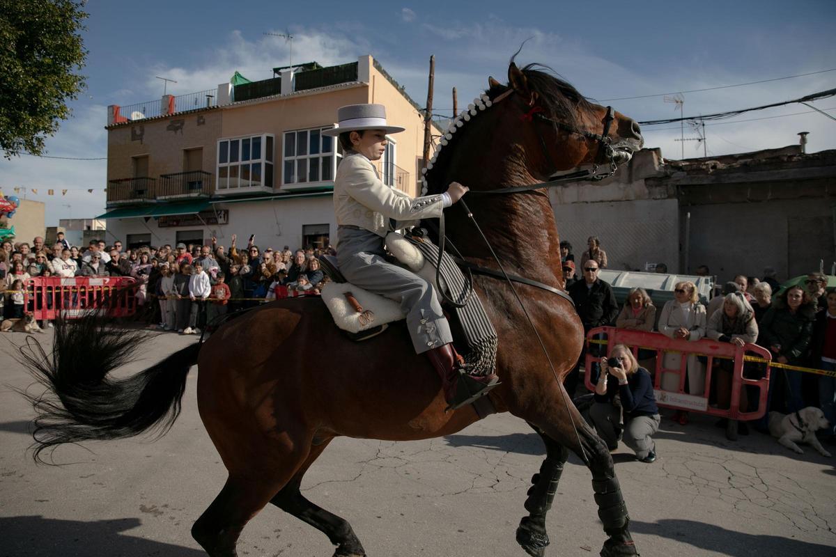 Así ha sido la celebración de San Antón en Cartagena