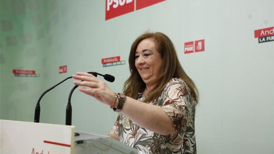 El PSOE-A afirma que la oferta de Podemos a IU-CA conlleva &quot;abrir las puertas de par al PP&quot;