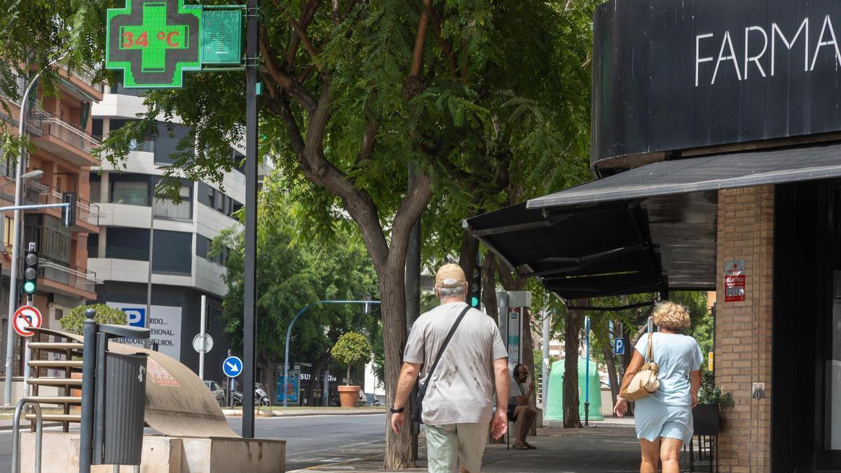 Medio centenar de asociaciones de Alicante señalan a Barcala por “inacción ante la emergencia climática”