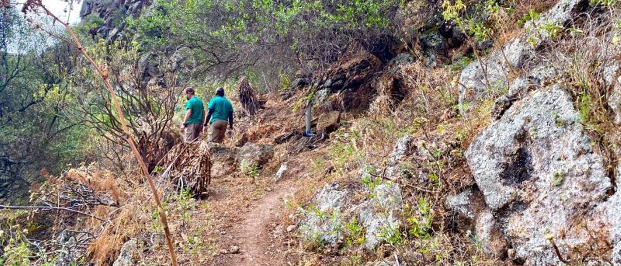 Operarios trabajando en uno de los caminos rurales anexos al corredor paisajístico. | | LP/DLP