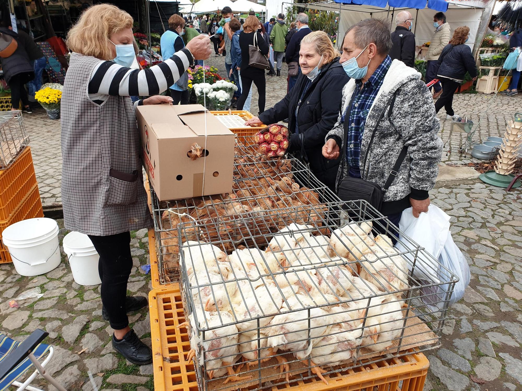 Feria de Valença.