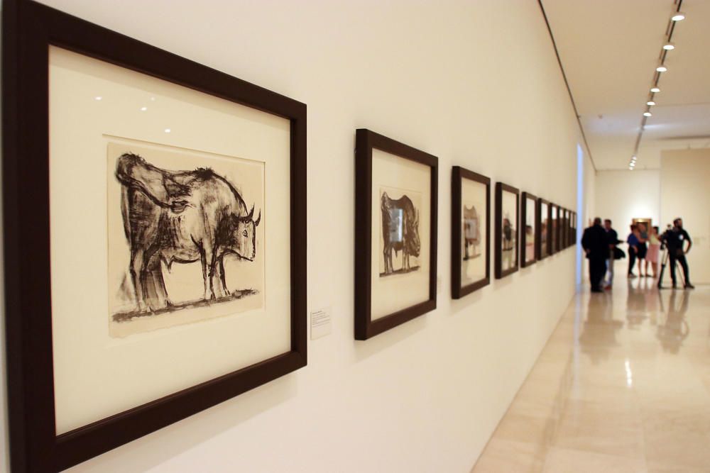 'El sur de Picasso. Referencias andaluzas', nueva temporal del Museo Picasso Málaga