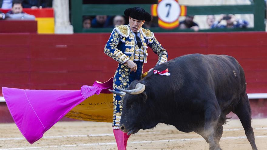 Manzanares se cae del cartel de Hogueras al tener que entrar de nuevo al quirófano