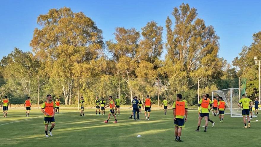 Llegada a Marbella, entreno y amistoso contra el Espanyol - La Provincia - Vimarsana News
