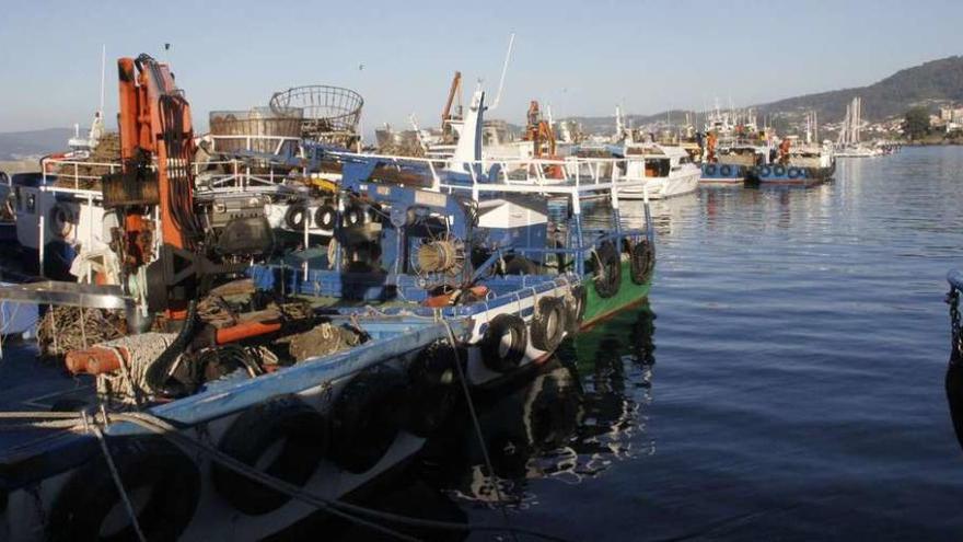 Barcos bateeiros amarrados, ayer, en el puerto pesquero de Bueu. // Santos Álvarez