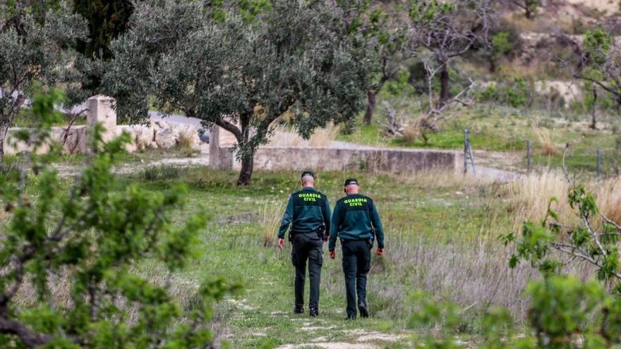 Denuncian ante la Guardia Civil siete nuevos envenenamientos de perros en Benissa