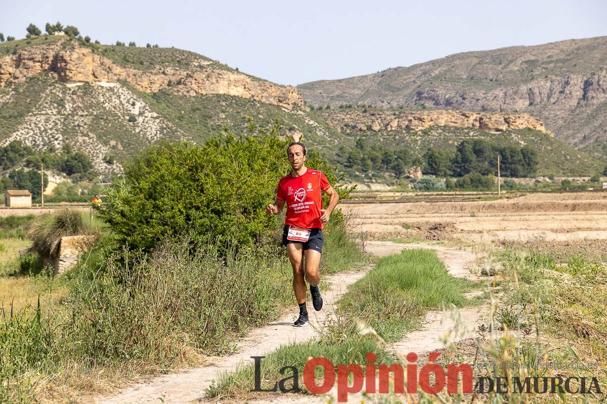 Carrera 'Entre arrozales' en Calasparra (carrera)