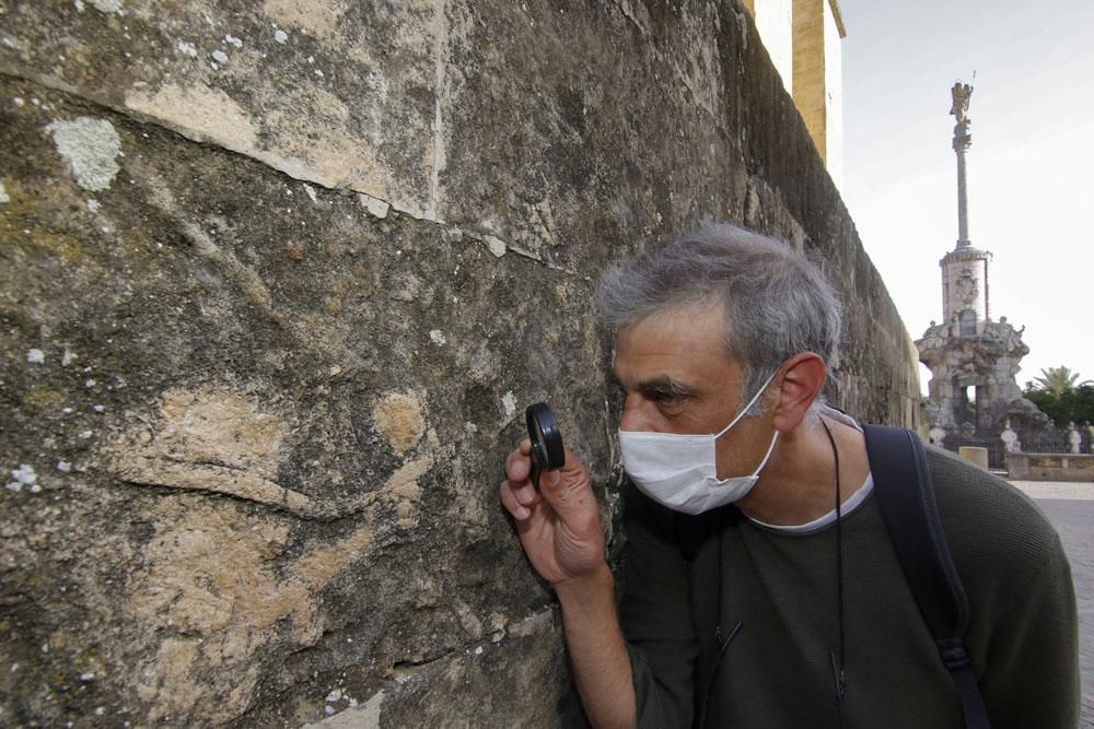 Los habitantes de la Mezquita Catedral del mioceno