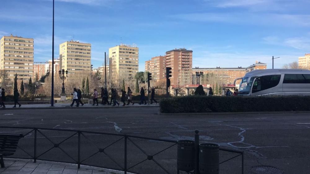 Zamora en la marcha por la Sanidad en Valladolid