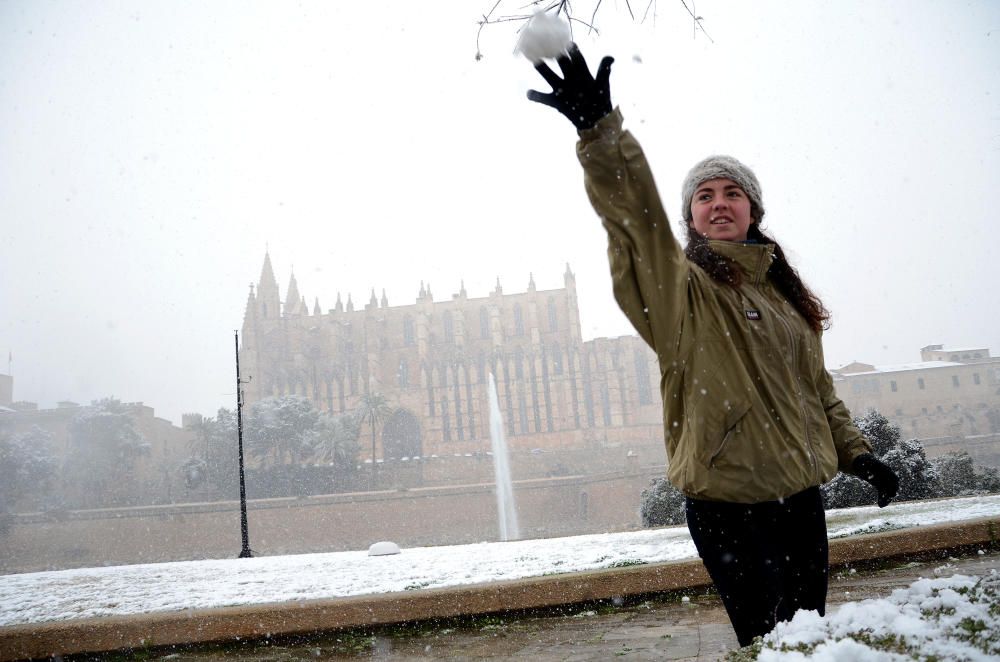 Cinco años de la gran nevada en Palma