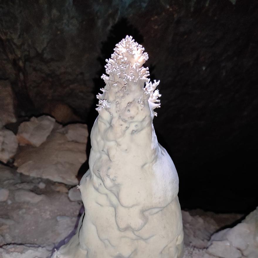 Las primeras fotografías de la cueva de Algueña realizadas por sus descubridores.