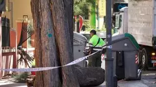 Destrozos por el viento en la Región: un muro se desploma sobre coches en Lorca y la caída de un árbol deja un herido en Murcia