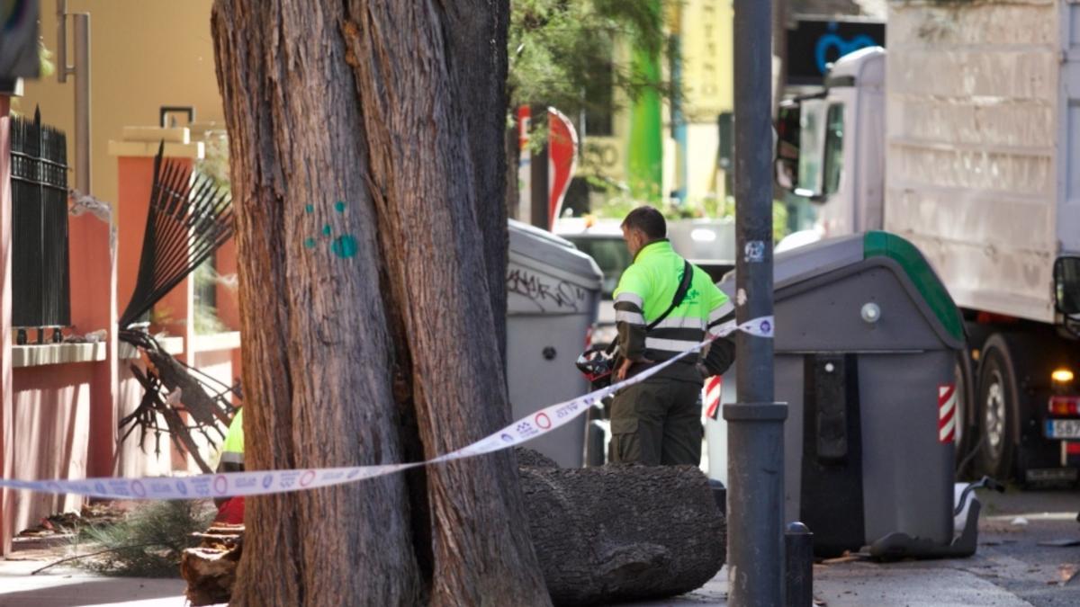 Los destrozos que ha dejado el viento en Murcia.