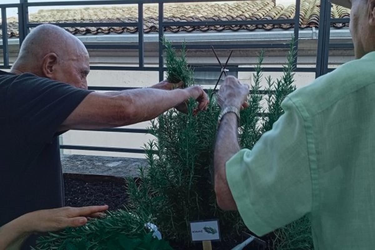Persones residents i usuàries del centre de dia en activitats vinculades a l’hort del Centre Maria Gay.