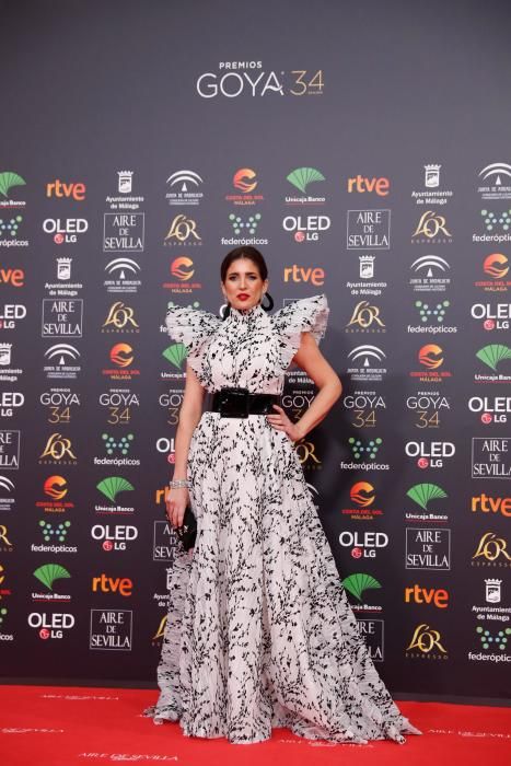 Alfombra roja de los Premios Goya 2020.