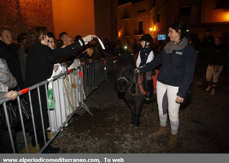 GALERÍA DE FOTOS -- Bendición de animales en Almassora